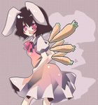  animal_ears bad_id bad_pixiv_id bow bowtie brown_hair bunny_ears carrot cirno cirno_(cosplay) cosplay dress inaba_tewi manabu red_eyes solo touhou wings 