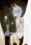  animal_ears copyright_request flat_chest flower hrd short_hair silver_hair solo tail 