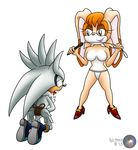  silver_the_hedgehog sonic_team tagme vanilla_the_rabbit 