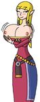  chaosecho legend_of_zelda princess_zelda skyward_sword tagme 