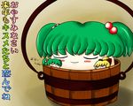  blush bucket closed_eyes eyebrows eyebrows_visible_through_hair green_hair hair_bobbles hair_ornament kisume koyukkuri kurodani_yamame no_humans shishou_no_deshi sleeping smile touhou translation_request yukkuri_shiteitte_ne 