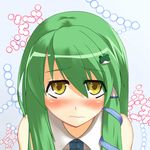  bad_id bad_pixiv_id blush frog green_hair kochiya_sanae long_hair shyu-indigo snake solo touhou yellow_eyes 