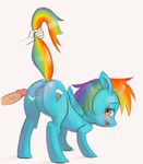  amber_eyes anus chony cutie_mark disembodied_hand disembodied_penis duo equine female feral friendship_is_magic hair horse male mammal multi-colored_hair my_little_pony pegasus penis plain_background pony pussy rainbow_dash_(mlp) raised_tail straight white_background wings 