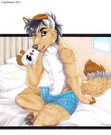  bed blue_eyes bulge canine claws cup kashmere looking_at_viewer male mammal mug penis penis_tip pillow sheath sitting solo topless 