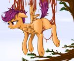  branch cub equine female feral friendship_is_magic hair horse madhotaru mammal my_little_pony outside pegasus pony purple_eyes purple_hair sap scootaloo_(mlp) sky solo sticky tree tree_sap wings young 