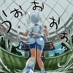  animal_ears ass bike_shorts fisheye lina_(seibu_lions) mofmof_(sousa) nippon_professional_baseball original saitama_seibu_lions solo tail white_hair 