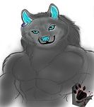  canine male mammal silverbowserwolf solo wolf 