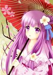  alternate_costume cherry_blossoms double_bun flower hair_flower hair_ornament iris_yayoi japanese_clothes kimono long_hair open_mouth oriental_umbrella patchouli_knowledge petals purple_eyes purple_hair solo touhou umbrella 