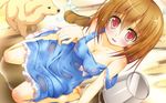  animal blush brown_hair cleavage dog dress erect_nipples game_cg hikarino_miku lo-angle no_bra nozomi_tsubame red_eyes see_through wet 