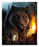  badge bear canine darkicewolf feather fire grym mammal outside solo tribal wolf 