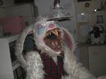  cage clothing floppy_ears fur fursuit lagomorph mammal nightmare_fuel open_mouth photo pink_nose rabbit real room scary sharp_teeth shirt solo teeth tongue what white_fur 