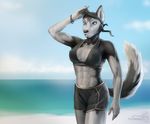  bandanna beach biceps blue_eyes breasts canine clothed clothing dog female fluffy_tail fur grey_fur husky lips mammal muscles muscular_female nipples pornthulhu seaside solo water white_fur 