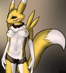  breasts canine collar dacad digimon female fox hair_tuft lingerie mammal panties renamon solo topless underwear 