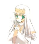  blush cat green_eyes index nun solo sphinx_(index) to_aru_majutsu_no_index toranosuke white_hair 