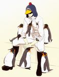  1boy bird boots earflap_hat hat hat_over_eyes hat_pompom heart_pirates jumpsuit male male_focus one_piece penguin penguin_(one_piece) pirate sitting solo takuhe_0410 