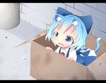  akisha animal_ears bad_id bad_pixiv_id blue_dress blue_eyes blue_hair bow box cardboard_box cat_ears cat_tail chibi cirno dress for_adoption hair_bow in_box in_container kemonomimi_mode letterboxed open_mouth solo tail tears touhou wavy_mouth wings 