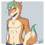  canine dog geekidog hikkito_denzara male mammal shiba_inu sigia solo topless wolf 