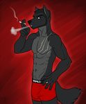  abs anthro beard biceps big_muscles black_nose body_markings bulge canine cigarette clothing facial_hair fenris fur handsome looking_at_viewer male mammal markings muscles pecs plain_background pose red_background scar shorts smoking solo standing vallhund wolf 