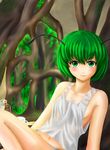  antennae bare_legs bare_shoulders bottle breasts cup green_eyes green_hair highres lips looking_at_viewer midriff navel reclining redoredo_(godprogress) short_hair sideboob small_breasts solo tank_top touhou underwear underwear_only wet wriggle_nightbug 