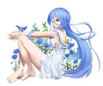  barefoot bird blue_hair bluebird dress feet flower highres legs long_hair masami05071541 original sitting solo toes yellow_eyes 