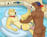  bear canine dog duo floaty gay hindpaw jupiterfox male mammal paws pool speedo swimsuit 
