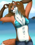  bikini canine clothing female fox jupiterfox mammal seaside show_off swimsuit tight_clothing 