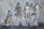  5_fingers abs anthro back back_turned balls biceps canine claws front fur grey_background grey_fur grey_nose grey_theme kneeling looking_at_viewer male mammal model_sheet muscles navel november nude pecs penis penis_tip plain_background raised_arm rukis scarf side_view solo standing toe_claws wolf yellow_eyes 