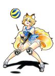  :d adapted_costume animal_ear_fluff animal_ears bare_legs blonde_hair blue_shirt breasts collarbone commentary_request contemporary cross-laced_footwear eyelashes fox_ears fox_girl fox_tail full_body gokuu_(acoloredpencil) half-closed_eyes highres knee_pads knees_together_feet_apart large_breasts legs_apart looking_up lower_teeth multiple_tails no_hat no_headwear open_mouth outstretched_arms pigeon-toed shadow shirt shoes short_hair short_shorts shorts simple_background sleeveless sleeveless_shirt smile sneakers socks solo tail touhou traditional_media v_arms volleyball white_background white_footwear white_legwear white_shorts yakumo_ran yellow_eyes 