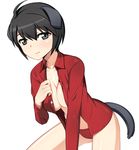  animal_ears black_hair breasts caryo cleavage dog_ears dog_tail grey_eyes leaning_forward looking_at_viewer lowres luciana_mazzei medium_breasts nanashino open_clothes open_shirt panties red_panties shirt short_hair simple_background smile solo strike_witches tail underwear white_background world_witches_series 