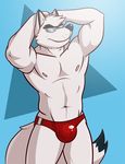 anthro biceps big_muscles bulge canine clamcrusher eyewear fur male mammal muscles nipples pecs pose solo sunglasses swimsuit topless white_fur wolf 