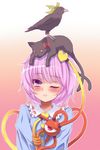  animal animal_on_head bad_id bad_pixiv_id bird blouse bow cat cat_on_head demekyon eyeball eyelashes frown gradient gradient_background headband heart highres kaenbyou_rin kaenbyou_rin_(cat) komeiji_satori lips long_sleeves looking_at_viewer on_head one_eye_closed pink_background pink_eyes pink_hair reiuji_utsuho reiuji_utsuho_(bird) short_hair third_eye touhou upper_body 