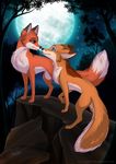  abby ambiguous_gender canine cute feral fluffy_tail fox mammal moon night outside rick rukifox 