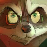  eyewear glasses jonas male mammal raccoon solo 