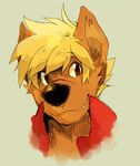 blonde_hair brown_eyes canine clothing cute fur grey_background hair jaryl jaryl_(character) jeniac looking_at_viewer male mammal orange_fur plain_background portrait simple_background smile solo wolf 