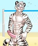  abs anthro aolun_(character) balls beach biceps big_muscles big_penis black_fur blue_eyes body_markings erection feline fur grin humanoid humanoid_penis male mammal markings muscles nude one_eye_closed pecs penis pink_nose pose presenting seaside sheath smile solo standing stripes teeth tiger vallhund volley white_fur white_tiger wink 