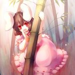  animal_ears bamboo bamboo_forest brown_hair bunny_ears forest gengetsu_chihiro hand_to_own_mouth highres inaba_tewi jewelry looking_at_viewer nature open_mouth pendant red_eyes solo touhou whispering 