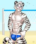  abs anthro aolun_(character) beach biceps black_fur blue_eyes body_markings bulge feline fur grin male mammal markings muscles outside pecs pink_nose pose sand seaside sky smile solo stripes swimsuit teeth tiger topless vallhund white_fur white_tiger 