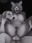  anal anal_penetration avoid_posting balls breasts canine cat dog feline female knot male mammal nipples pads paws penetration penis pussy sex spread_legs spreading straight tbfm tommy 