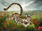  alectorfencer ambiguous_gender ass_up blue_eyes cloud collaboration dark_natasha feline flower grass looking_at_viewer lying mammal nude ocelot on_front outside pink_nose poppy_(flower) raised_tail sky solo traditional_media 