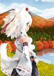  animal_ears bare_shoulders detached_sleeves hat inubashiri_momiji lake md5_mismatch mountain paprika_shikiso red_eyes scenery short_hair skirt sleeves_past_wrists solo tail tokin_hat touhou tree water white_hair wolf_ears wolf_tail youkai_mountain 