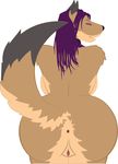  canine female hair hth_studios invalid_tag long_hair mammal nude rio_davis smile solo vector 