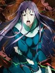  asagami_fujino kara_no_kyoukai tagme type-moon 