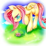  adoptaponyshadow arachnid arthropod cloud clouds cutie_mark cyan_eyes equine feathers female feral fluttershy_(mlp) friendship_is_magic fur grass hair horse long_hair mammal my_little_pony pegasus pink_hair pony red_eyes signature sky smile solo spider wings yellow_fur 