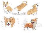  copyright_request dog no_humans nora_higuma sketch sploot welsh_corgi 