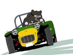  2013 bear car eyewear feral goggles race_car solo ukabor 