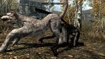  anal anal_penetration ass_to_ass canine cgi dog feline feral fur gay khajiit knotting male mammal penetration sex the_elder_scrolls the_elder_scrolls_v:_skyrim unknown_artist video_games 