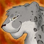  brown_eyes digitoxici feline feral fur grey_fur leopard male mammal markings plain_background smile snow_leopard 