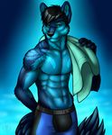  abs anthro biceps big_muscles black_hair black_nose blue_background blue_eyes blue_fur bulge canine claws clothing djwolf front fur hair looking_at_viewer male mammal multicolor_fur muscles pecs plain_background pose shorts solo standing swimsuit toned topless towel two_tone_fur underwear vallhund wolf 