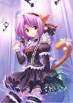  animal_ears bell bells cat_ears cat_tail catgirl frills frilly hair_ribbon lace ribbon tail yellow_eyes 