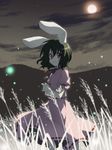  animal_ears anime_coloring black_hair bunny_ears cloud crossed_arms dress field fireflies full_moon inaba_tewi moon moonlight night night_sky onemu red_eyes short_hair sky solo touhou wind 